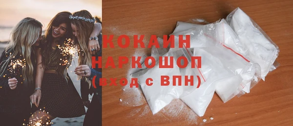 spice Богородицк