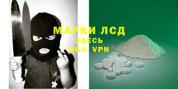 spice Богородицк