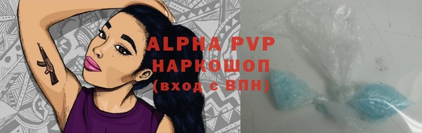 spice Богородицк