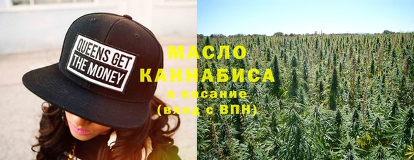 spice Богородицк