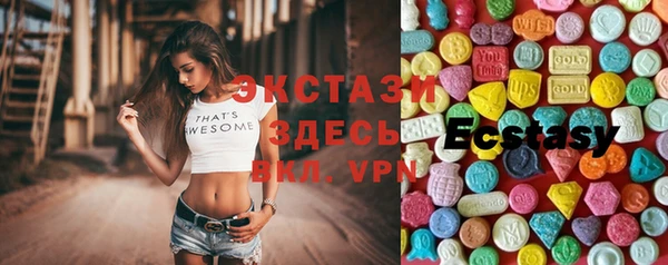 spice Богородицк