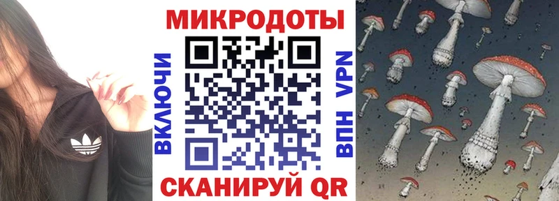 мега онион  как найти закладки  Велиж  Псилоцибиновые грибы Psilocybine cubensis 
